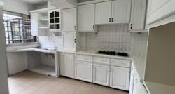 Blk 135 Cashew Road (Bukit Panjang), HDB Executive #639553561